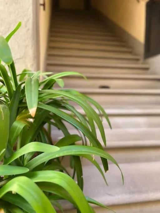 Il Canto De' Cenci Apartment Arezzo